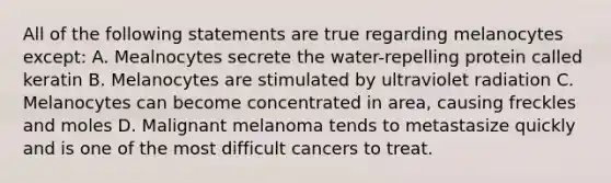 All of the following statements are true regarding melanocytes except: A. Mealnocytes secrete the water-repelling protein called keratin B. Melanocytes are stimulated by ultraviolet radiation C. Melanocytes can become concentrated in area, causing freckles and moles D. Malignant melanoma tends to metastasize quickly and is one of the most difficult cancers to treat.