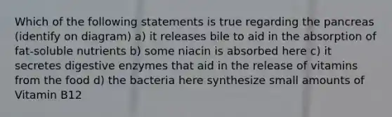 Which of the following statements is true regarding the pancreas (identify on diagram) a) it releases bile to aid in the absorption of fat-soluble nutrients b) some niacin is absorbed here c) it secretes digestive enzymes that aid in the release of vitamins from the food d) the bacteria here synthesize small amounts of Vitamin B12