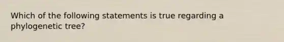 Which of the following statements is true regarding a phylogenetic tree?