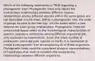 Which of the following statements is TRUE regarding a phylogenetic tree? Phylogenetic trees only depict the evolutionary relationships between different classes; relationships among different species within the same genus are not illustrated in such trees. Within a phylogenetic tree, the order of groups located at the tree tips, not the nodes within a tree, determines sister group relationships. Phylogenetic trees are constructed based solely on the morphological characteristics of species; sequence similarities among different organisms are only evaluated by taxonomists. Given the sheer number of prokaryotic and eukaryotic species on Earth, it is impossible to create a phylogenetic tree encompassing all of these organisms. Phylogenetic trees could be considered physical representations of hypotheses that seek to establish the evolutionary relationships between different organisms.