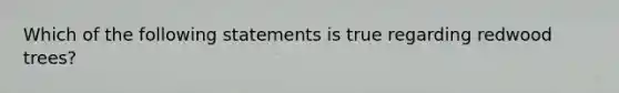 Which of the following statements is true regarding redwood trees?