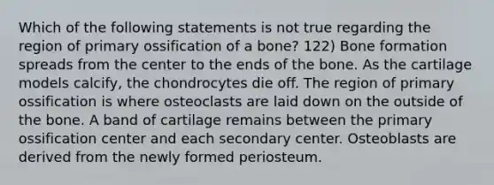 Which of the following statements is not true regarding the region of primary ossification of a bone? 122) Bone formation spreads from the center to the ends of the bone. As the cartilage models calcify, the chondrocytes die off. The region of primary ossification is where osteoclasts are laid down on the outside of the bone. A band of cartilage remains between the primary ossification center and each secondary center. Osteoblasts are derived from the newly formed periosteum.