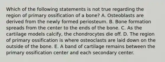 Which of the following statements is not true regarding the region of primary ossification of a bone? A. Osteoblasts are derived from the newly formed periosteum. B. Bone formation spreads from the center to the ends of the bone. C. As the cartilage models calcify, the chondrocytes die off. D. The region of primary ossification is where osteoclasts are laid down on the outside of the bone. E. A band of cartilage remains between the primary ossification center and each secondary center.