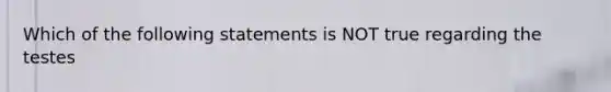 Which of the following statements is NOT true regarding the testes