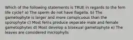 Which of the following statements is TRUE in regards to the fern life cycle? a) The sperm do not have flagella. b) The gametophyte is larger and more conspicuous than the sporophyte c) Most ferns produce separate male and female gametophytes d) Most develop a bisexual gametophyte e) The leaves are considered microphylls