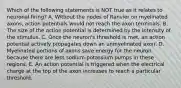 Which of the following statements is NOT true as it relates to neuronal firing? A. Without the nodes of Ranvier on myelinated axons, action potentials would not reach the axon terminals. B. The size of the action potential is determined by the intensity of the stimulus. C. Once the neuron's threshold is met, an action potential actively propagates down an unmyelinated axon. D. Myelinated portions of axons save energy for the neuron because there are less sodium-potassium pumps in these regions. E. An action potential is triggered when the electrical charge at the top of the axon increases to reach a particular threshold.