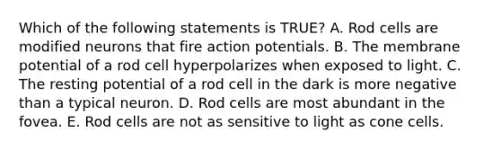 Which of the following statements is TRUE? A. Rod cells are modified neurons that fire action potentials. B. The membrane potential of a rod cell hyperpolarizes when exposed to light. C. The resting potential of a rod cell in the dark is more negative than a typical neuron. D. Rod cells are most abundant in the fovea. E. Rod cells are not as sensitive to light as cone cells.