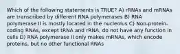 Which of the following statements is TRUE? A) rRNAs and mRNAs are transcribed by different RNA polymerases B) RNA polymerase II is mostly located in the nucleolus C) Non-protein-coding RNAs, except tRNA and rRNA, do not have any function in cells D) RNA polymerase II only makes mRNAs, which encode proteins, but no other functional RNAs