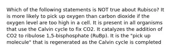 Which of the following statements is NOT true about Rubisco? It is more likely to pick up oxygen than carbon dioxide if the oxygen level are too high in a cell. It is present in all organisms that use the Calvin cycle to fix CO2. It catalyzes the addition of CO2 to ribulose 1,5-bisphosphate (RuBp). It is the "pick up molecule" that is regenerated as the Calvin cycle is completed