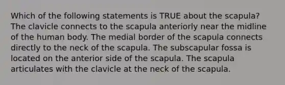 Which of the following statements is TRUE about the scapula? The clavicle connects to the scapula anteriorly near the midline of the human body. The medial border of the scapula connects directly to the neck of the scapula. The subscapular fossa is located on the anterior side of the scapula. The scapula articulates with the clavicle at the neck of the scapula.