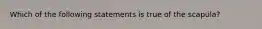 Which of the following statements is true of the scapula?