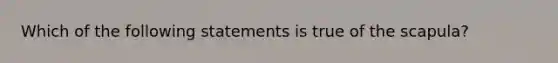 Which of the following statements is true of the scapula?