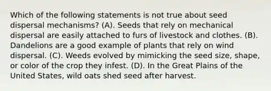 Which of the following statements is not true about seed dispersal mechanisms? (A). Seeds that rely on mechanical dispersal are easily attached to furs of livestock and clothes. (B). Dandelions are a good example of plants that rely on wind dispersal. (C). Weeds evolved by mimicking the seed size, shape, or color of the crop they infest. (D). In the Great Plains of the United States, wild oats shed seed after harvest.