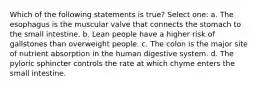 Which of the following statements is true? Select one: a. The esophagus is the muscular valve that connects the stomach to the small intestine. b. Lean people have a higher risk of gallstones than overweight people. c. The colon is the major site of nutrient absorption in the human digestive system. d. The pyloric sphincter controls the rate at which chyme enters the small intestine.