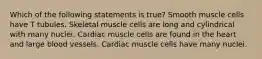 Which of the following statements is true? Smooth muscle cells have T tubules. Skeletal muscle cells are long and cylindrical with many nuclei. Cardiac muscle cells are found in the heart and large blood vessels. Cardiac muscle cells have many nuclei.