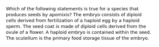 Which of the following statements is true for a species that produces seeds by apomixis? The embryo consists of diploid cells derived from fertilization of a haploid egg by a haploid sperm. The seed coat is made of diploid cells derived from the ovule of a flower. A haploid embryo is contained within the seed. The scutellum is the primary food storage tissue of the embryo.