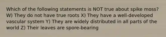 Which of the following statements is NOT true about spike moss? W) They do not have true roots X) They have a well-developed vascular system Y) They are widely distributed in all parts of the world Z) Their leaves are spore-bearing