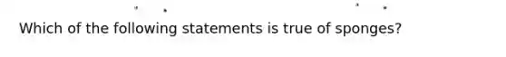 Which of the following statements is true of sponges?