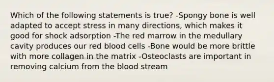 Which of the following statements is true? -Spongy bone is well adapted to accept stress in many directions, which makes it good for shock adsorption -The red marrow in the medullary cavity produces our red blood cells -Bone would be more brittle with more collagen in the matrix -Osteoclasts are important in removing calcium from the blood stream