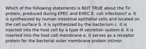 Which of the following statements is NOT TRUE about the Tir protein, produced during EPEC and EHEC E. coli infections? a. It is synthesized by human intestinal epithelial cells and located on the cell surface b. it is synthesized by the bacterium c. it is injected into the host cell by a type III secretion system d. it is inserted into the host cell membrane e. it serves as a receptor protein for the bacterial outer membrane protein intimin