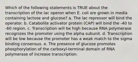 Which of the following statements is TRUE about the transcription of the lac operon when E. coli are grown in media containing lactose and glucose? a. The lac repressor will bind the operator. b. Catabolite activator protein (CAP) will bind the -40 to -60 region. c. Transcription will be high because RNA polymerase recognizes the promoter using the alpha subunit. d. Transcription will be low because the promoter has a weak match to the sigma binding consensus. e. The presence of glucose promotes phosphorylation of the carboxyl-terminal domain of RNA polymerase of increase transcription.