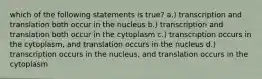 which of the following statements is true? a.) transcription and translation both occur in the nucleus b.) transcription and translation both occur in the cytoplasm c.) transcription occurs in the cytoplasm, and translation occurs in the nucleus d.) transcription occurs in the nucleus, and translation occurs in the cytoplasm