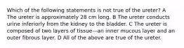 Which of the following statements is not true of the ureter? A The ureter is approximately 28 cm long. B The ureter conducts urine inferiorly from the kidney to the bladder. C The ureter is composed of two layers of tissue—an inner mucous layer and an outer fibrous layer. D All of the above are true of the ureter.