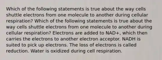 Which of the following statements is true about the way cells shuttle electrons from one molecule to another during cellular respiration? Which of the following statements is true about the way cells shuttle electrons from one molecule to another during cellular respiration? Electrons are added to NAD+, which then carries the electrons to another electron acceptor. NADH is suited to pick up electrons. The loss of electrons is called reduction. Water is oxidized during cell respiration.