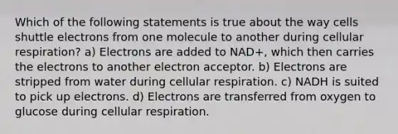 Which of the following statements is true about the way cells shuttle electrons from one molecule to another during cellular respiration? a) Electrons are added to NAD+, which then carries the electrons to another electron acceptor. b) Electrons are stripped from water during cellular respiration. c) NADH is suited to pick up electrons. d) Electrons are transferred from oxygen to glucose during cellular respiration.