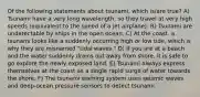 Of the following statements about tsunami, which is/are true? A) Tsunami have a very long wavelength, so they travel at very high speeds (equivalent to the speed of a jet airplane). B) Tsunami are undetectable by ships in the open ocean. C) At the coast, a tsunami looks like a suddenly occurring high or low tide, which is why they are misnamed "tidal waves." D) If you are at a beach and the water suddenly drains out away from shore, it is safe to go explore the newly exposed land. E) Tsunami always express themselves at the coast as a single rapid surge of water towards the shore. F) The tsunami warning system uses seismic waves and deep-ocean pressure sensors to detect tsunami.