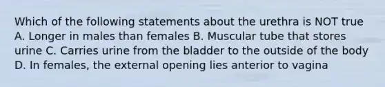 Which of the following statements about the urethra is NOT true A. Longer in males than females B. Muscular tube that stores urine C. Carries urine from the bladder to the outside of the body D. In females, the external opening lies anterior to vagina