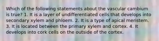 Which of the following statements about the vascular cambium is true? 1. It is a layer of undifferentiated cells that develops into secondary xylem and phloem. 2. It is a type of apical meristem. 3. It is located between the primary xylem and cortex. 4. It develops into cork cells on the outside of the cortex.