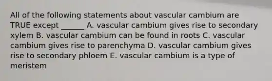 All of the following statements about vascular cambium are TRUE except ______ A. vascular cambium gives rise to secondary xylem B. vascular cambium can be found in roots C. vascular cambium gives rise to parenchyma D. vascular cambium gives rise to secondary phloem E. vascular cambium is a type of meristem