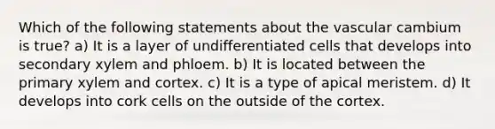 Which of the following statements about the vascular cambium is true? a) It is a layer of undifferentiated cells that develops into secondary xylem and phloem. b) It is located between the primary xylem and cortex. c) It is a type of apical meristem. d) It develops into cork cells on the outside of the cortex.