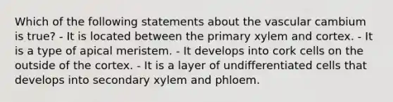 Which of the following statements about the vascular cambium is true? - It is located between the primary xylem and cortex. - It is a type of apical meristem. - It develops into cork cells on the outside of the cortex. - It is a layer of undifferentiated cells that develops into secondary xylem and phloem.