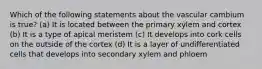 Which of the following statements about the vascular cambium is true? (a) It is located between the primary xylem and cortex (b) It is a type of apical meristem (c) It develops into cork cells on the outside of the cortex (d) It is a layer of undifferentiated cells that develops into secondary xylem and phloem