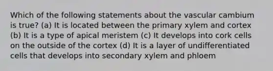 Which of the following statements about the vascular cambium is true? (a) It is located between the primary xylem and cortex (b) It is a type of apical meristem (c) It develops into cork cells on the outside of the cortex (d) It is a layer of undifferentiated cells that develops into secondary xylem and phloem