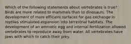 Which of the following statements about vertebrates is true? Birds are more related to mammals than to dinosaurs. The development of more efficient surfaces for gas exchange in reptiles stimulated expansion into terrestrial habitats. The development of an amniotic egg and internal fertilization allowed vertebrates to reproduce away from water. All vertebrates have jaws with which to catch their prey.