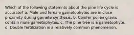 Which of the following statemnts about the pine life cycle is accurate? a. Male and female gametophytes are in close proximity during gamete synthesis. b. Conifer pollen grains contain male gametophytes. c. The pine tree is a gametophyte. d. Double fertilization is a relatively common phenomenon.