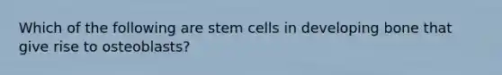 Which of the following are stem cells in developing bone that give rise to osteoblasts?