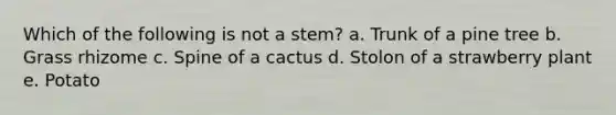 Which of the following is not a stem? a. Trunk of a pine tree b. Grass rhizome c. Spine of a cactus d. Stolon of a strawberry plant e. Potato