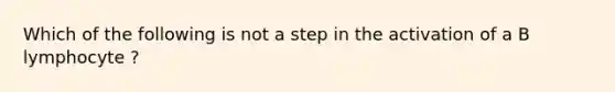 Which of the following is not a step in the activation of a B lymphocyte ?