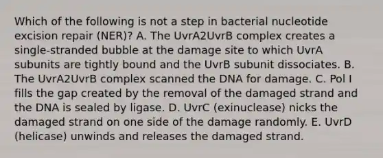 Which of the following is not a step in bacterial nucleotide excision repair (NER)? A. The UvrA2UvrB complex creates a single-stranded bubble at the damage site to which UvrA subunits are tightly bound and the UvrB subunit dissociates. B. The UvrA2UvrB complex scanned the DNA for damage. C. Pol I fills the gap created by the removal of the damaged strand and the DNA is sealed by ligase. D. UvrC (exinuclease) nicks the damaged strand on one side of the damage randomly. E. UvrD (helicase) unwinds and releases the damaged strand.