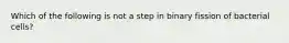 Which of the following is not a step in binary fission of bacterial cells?