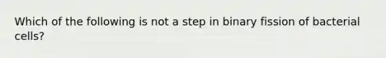 Which of the following is not a step in binary fission of bacterial cells?