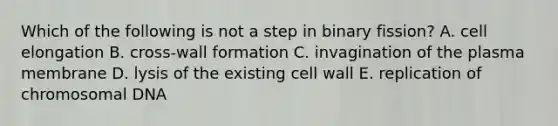 Which of the following is not a step in binary fission? A. cell elongation B. cross-wall formation C. invagination of the plasma membrane D. lysis of the existing cell wall E. replication of chromosomal DNA