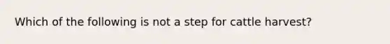 Which of the following is not a step for cattle harvest?