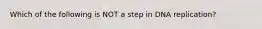 Which of the following is NOT a step in DNA replication?