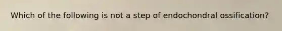 Which of the following is not a step of endochondral ossification?