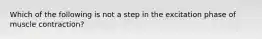 Which of the following is not a step in the excitation phase of muscle contraction?